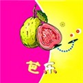 蜜桃811tv直播播放器下载安装