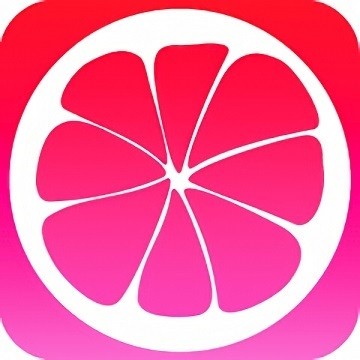 麻花传剧apk下载入口